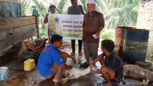 Pimpinan Wilayah ISNU Aceh menyalurkan bantuan hewan kurban kepada sejumlah Pengurus Cabang (PC) ISNU di kabupaten/kota di Aceh menjelang Hari Raya Iduladha 1447 Hijriah.
